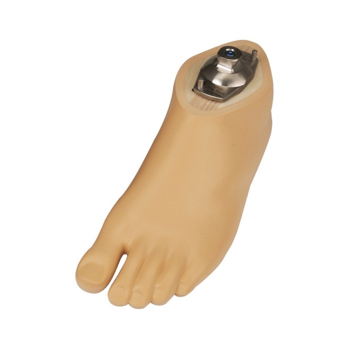 Pé Dinâmico 1D10 Ottobock Pé Dinâmico 1D10 Ottobock